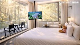 阿里山,櫻花,森林,套房,蒸汽,火車,山景房,阿里山賓館,（圖／翻攝畫面）