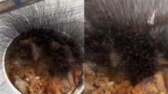 嚇傻！牛肉飯長出15公分黑髮　醫揭真面目