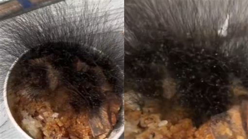 嚇傻！牛肉飯長出15公分黑髮　醫揭真面目