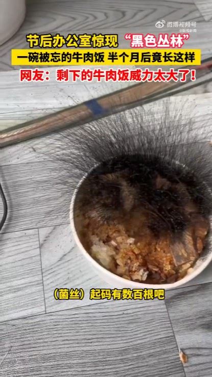 牛肉飯上長菌絲。（圖／取自微博）