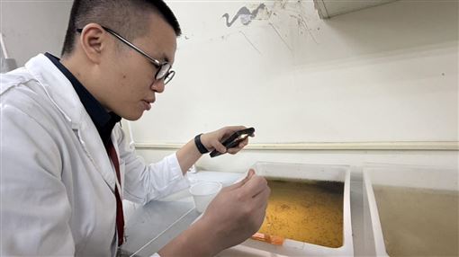 研究蚊子太有趣！博士替代役男退伍不想走