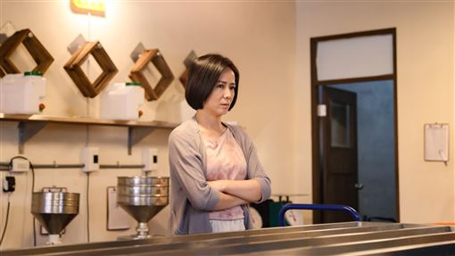 台八女星「被婆婆虐待二十年」黑化被罵慘