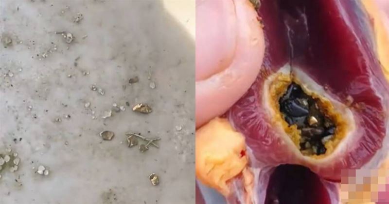 中國湖南一名男子過年期間準備年菜,宰殺家中飼養的肉鴨,竟在肚中看到黃金。(示意圖/翻攝自《大象新聞》)