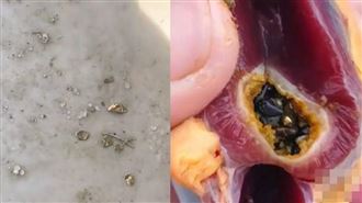 男宰鴨驚現「胃藏金」　火燒鑑定：是真的
