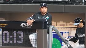 台日棒球國際交流賽，經典賽台灣隊總教練曾豪駒。（圖／記者劉彥池攝影）