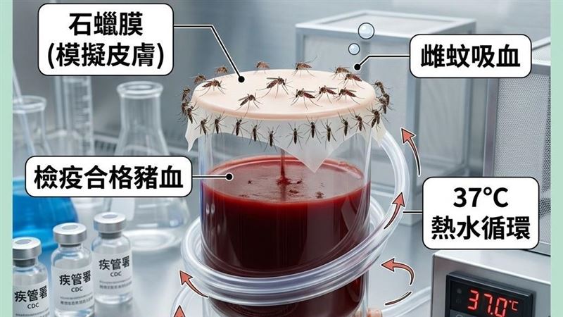 研究蚊子太有趣！博士替代役男退伍不想走