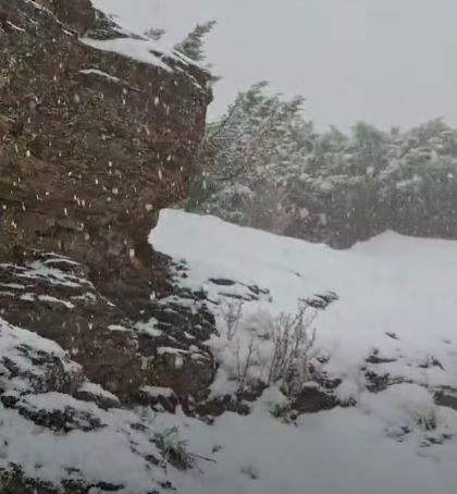 玉山氣象站07：10降雪。（圖／翻攝自氣象署粉專「報天氣」）