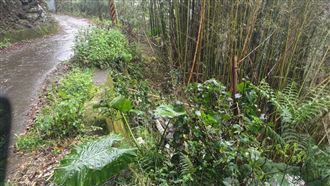 女就醫「體內有胎盤」...女嬰遭棄屍山區