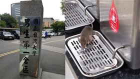 台大超商驚見「老鼠爬熱開水機」，業者道歉：立即清消並強化整潔。（圖／翻攝自Threads @yuanyuanyuan0911
）