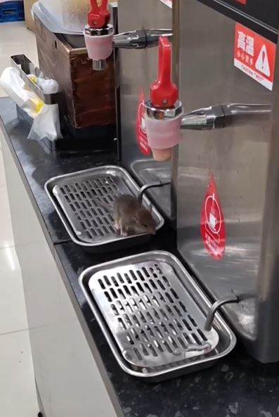 網友憂心漢他病毒傳染，「以後不敢在超商泡麵了」。（圖／翻攝自Threads @yuanyuanyuan0911）