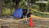 子彈貫穿頭顱…樹下藍棚蓋屍！死者身份曝
