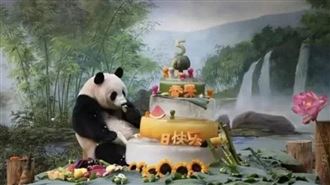 杭州2天2熊貓「急性腹症奪命」　閉館調查