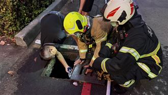 「水溝蓋冒煙」高雄人怕爆！元凶現形