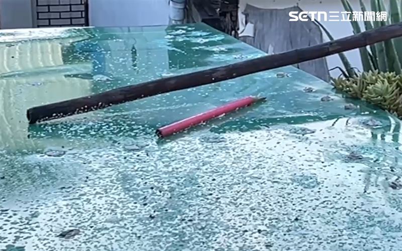 女師坦言,當下其實已經抄起曬衣桿衝動想反擊,但轉念想到可能傷及獼猴、甚至殺生,因此作罷。(圖/翻攝畫面)