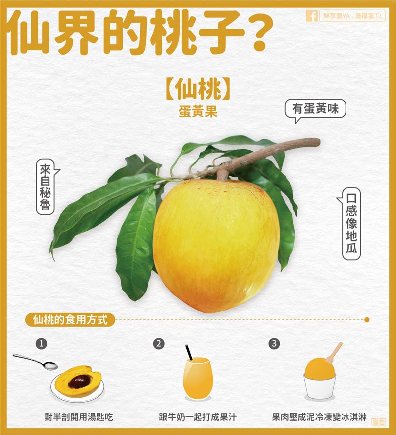 農糧署指出,仙桃營養價值很高。(圖/農糧署臉書)