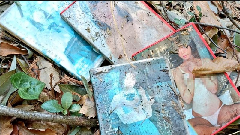 AV女優作品被丟棄在山裡!本人悲痛發聲