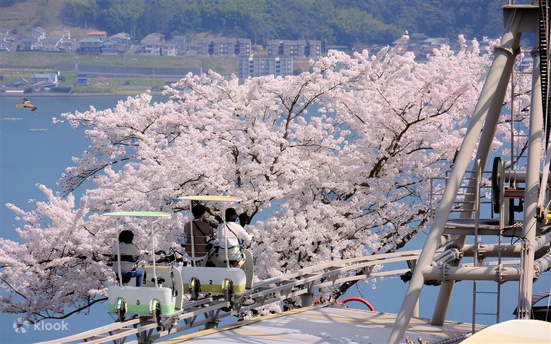 位在宮津市的天橋立一日遊為賞櫻熱門行程。(圖/品牌業者提供)