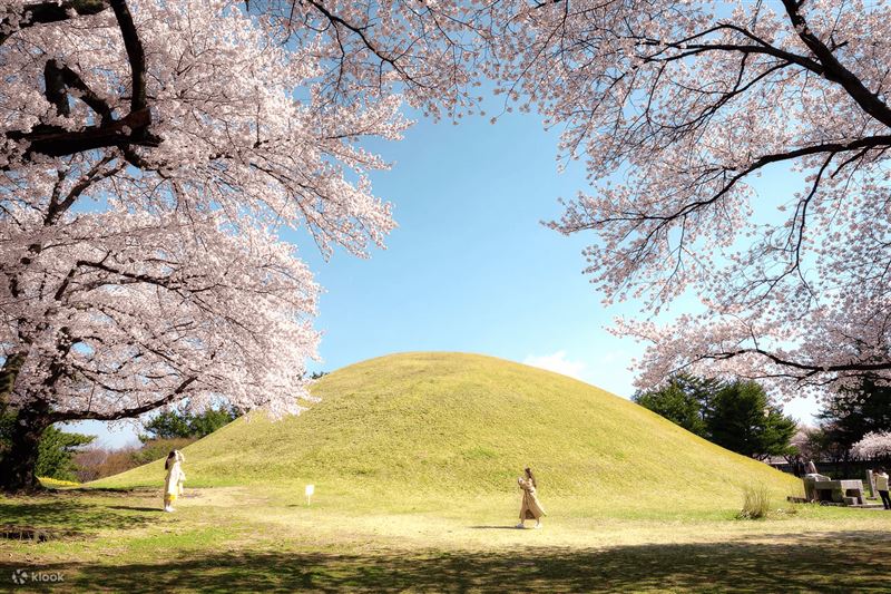 釜山近郊的慶州為韓國著名賞櫻熱點。(圖/品牌業者提供)