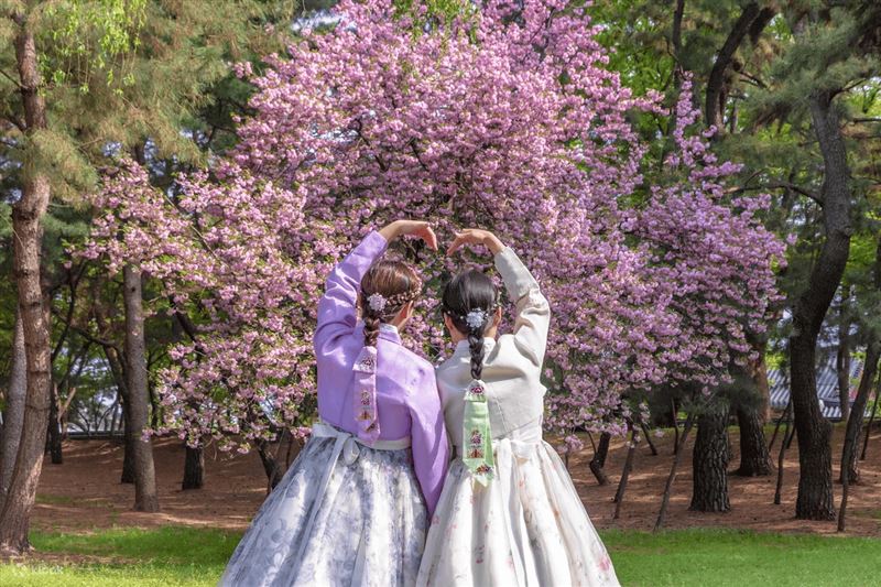 可趁春季穿著韓服於賞櫻時拍下美照。(圖/品牌業者提供)