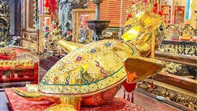 ▲黃金龜。（圖／翻攝自澎湖國家風景區管理處粉絲專頁）