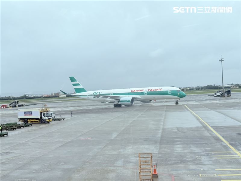 為歡慶80週年，國泰航空耗費數個月籌備，特別塗裝A350重現1970至1990年代深受旅客與航空迷喜愛的「生菜三明治」綠白相間復古塗裝。（圖／記者李育道攝影）