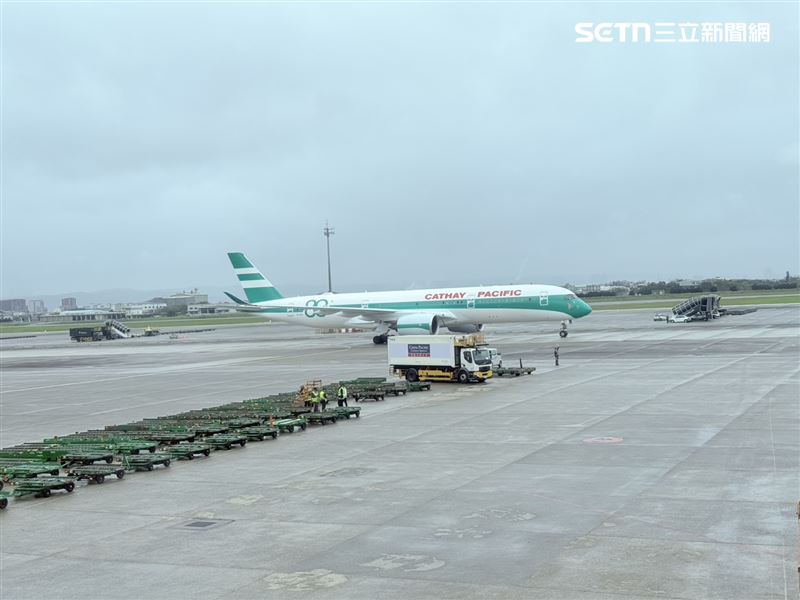 國泰航空80週年「生菜三明治」經典塗裝回歸。（圖／記者李育道攝影）