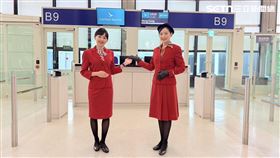 國泰航空80週年「生菜三明治」經典塗裝回歸，此外歷代制服也將在活動期間由2000名空姐、地勤人員穿著，隨機現蹤在機上與登機報到處。（圖／記者李育道攝影）