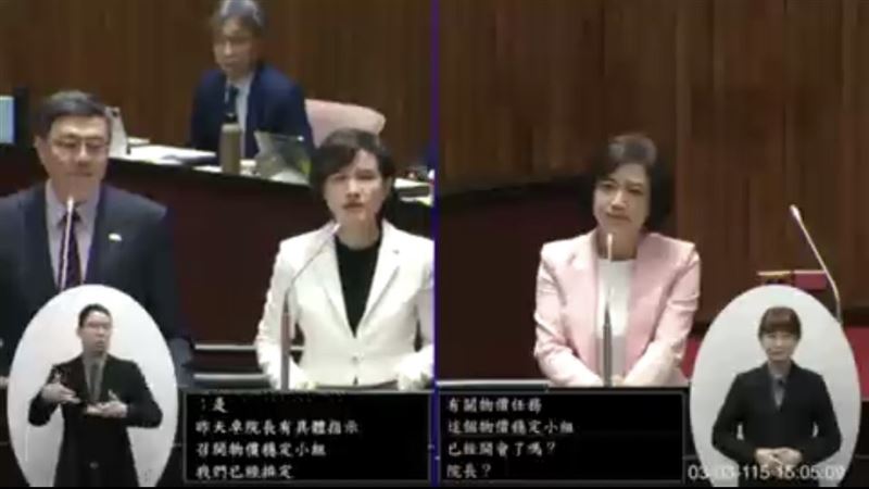 民進黨立委何欣純希望美伊戰爭的不確定性對我國民生衝擊到最小,呼籲行政院做好萬全準備。(圖/翻攝國會頻道)