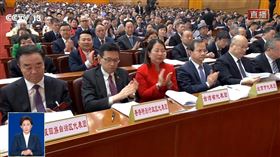 中國兩會「台灣省代表團」又來啦，你認識嗎？連陸網友都評：自嗨。（圖／翻攝自X平台）