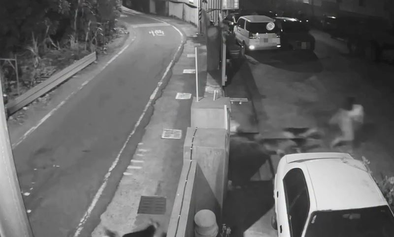 女子徒步經過太平路，遭狗群包圍，嚇得衝進工廠避難。（圖／議員賴清美提供）