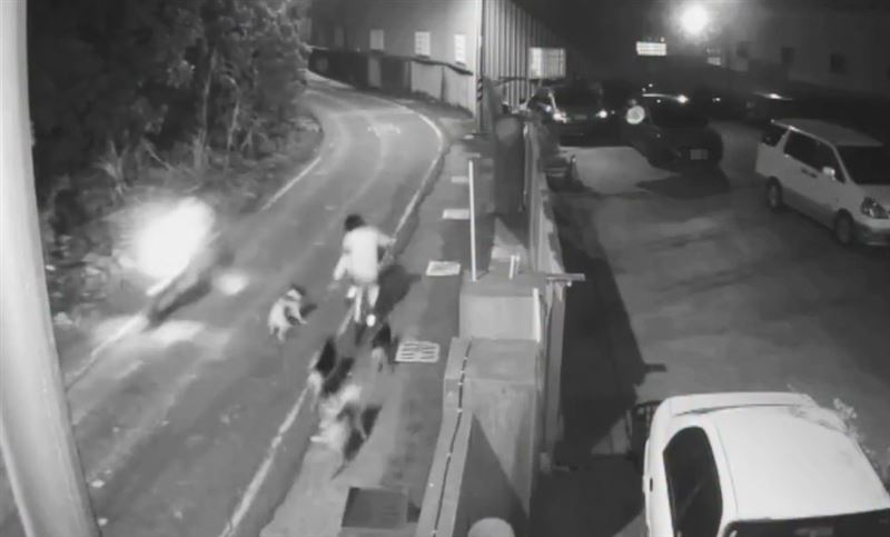 婦人騎腳踏車路過太平路，遭狗群包圍追咬。（圖／議員賴清美提供）