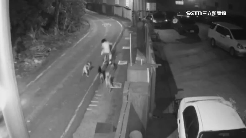 彰化和美鎮太平路之前曾出現猛犬軍團追咬路過人車,附近居民人心惶惶。(圖/議員賴清美提供)