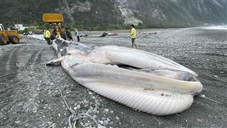 花蓮外海驚見「巨大屍體」流進定置漁場
