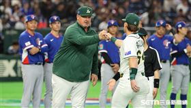 WBC台澳戰，澳洲隊總教練尼爾森（David Nilsson）。（圖／特派記者劉彥池攝影）