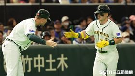 WBC台澳戰，澳洲隊第1棒炸裂陽春砲。（圖／特派記者劉彥池攝影）
