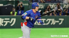 WBC台澳戰，台灣隊指定打擊林安可敲出全隊第2安。（圖／特派記者劉彥池攝影）
