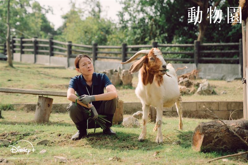 柯淑勤飾演資深保育員江麗琴。（圖／Disney+提供）