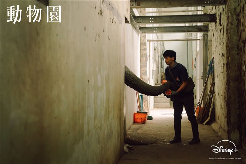 李淳飾演老實敦厚的大象保育員郭俊維。（圖／Disney+提供）