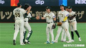 WBC台澳戰，澳洲3：0完封台灣，球員賽後慶祝勝利。（圖／特派記者劉彥池攝影）