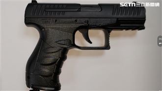 他帶手槍參觀總統府　法官這理由裁定不罰