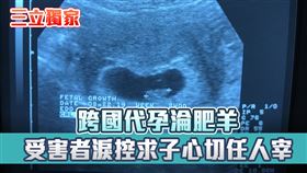 《人工生殖法》修法在去年成為政壇焦點，同時間卻有數十對不孕夫妻慘遭海外代孕協會欺騙，負責人已遭羈押並起訴。（圖／記者王乙徹攝影）