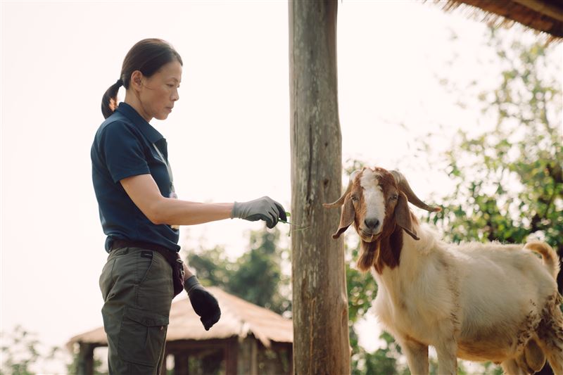 柯淑勤極具感染力的演出惹哭大票觀眾。（圖／Disney+提供）