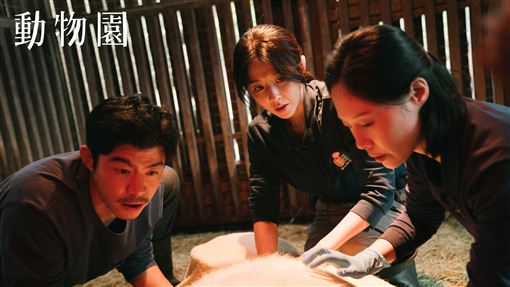 金鐘視后幫羊接生　邵雨薇動物園嚇壞猴子
