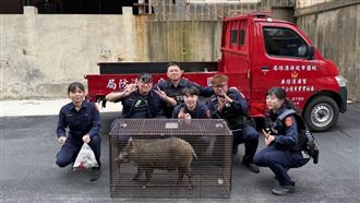 街頭驚見「4腳獸」6警現場直擊…一陣歡呼
