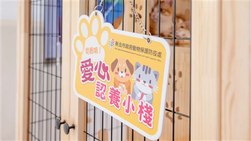 響應動保　戴湘儀服務處成毛寶貝認養小棧