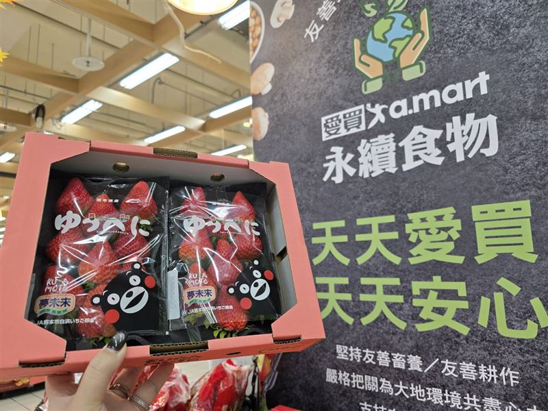 日本草莓兩入一箱499元。（圖／品牌業者提供）