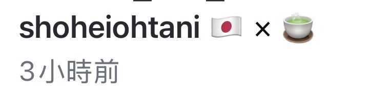 大谷翔平發文。（圖／取自shoheiohtani IG）