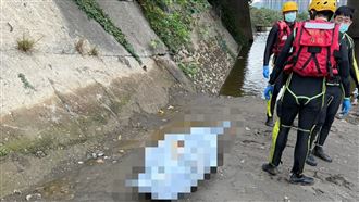 新／失足落水？新店碧潭西岸驚見男浮屍