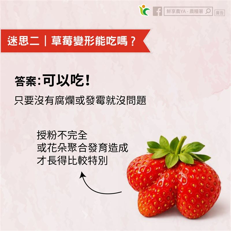 草莓長得有些畸形是因發育過程所致，還是可以吃。（圖／翻攝自鮮享農YA - 農糧署）