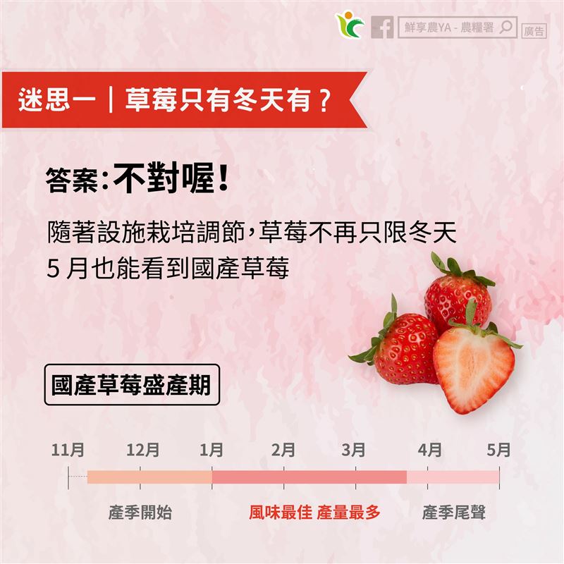 12月開始至隔年4月為草莓主要產季，但5月也能看到。（圖／翻攝自鮮享農YA - 農糧署）